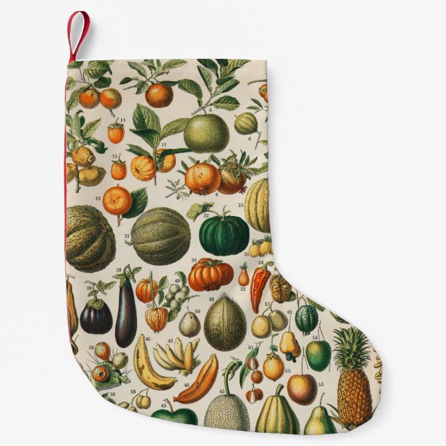 Petite Chaussette De Noël Illustration scientifique végétale des fruits (Devant)