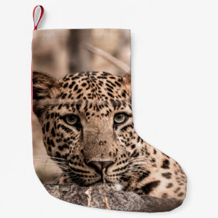 Petite Chaussette De Noël Image d'art fine du léopard ou du portrait de pant