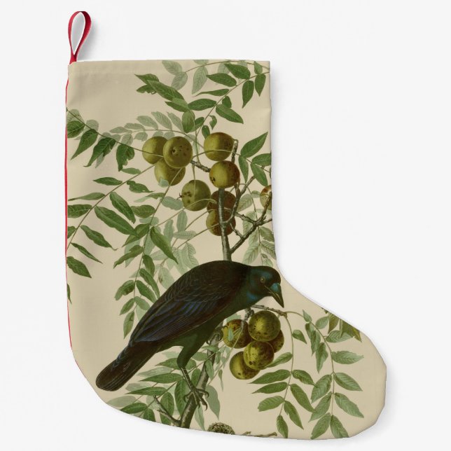 Petite Chaussette De Noël Impression d'oiseau Grackle violet d'Audubon Botan (Devant)