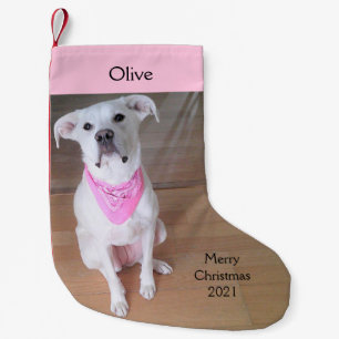 Petite Chaussette De Noël Joli Chien Chien Chiot Blanc Portant Une Écharpe R
