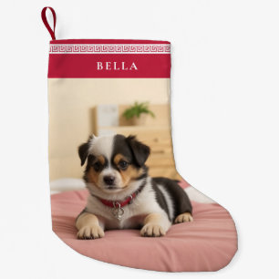 Petite Chaussette De Noël Joli nom de compagnie personnalisé pour Noël Photo