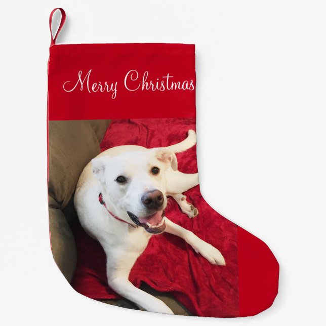 Petite Chaussette De Noël Joli sourire Blanc Lab Mix Chien Noël (Devant)
