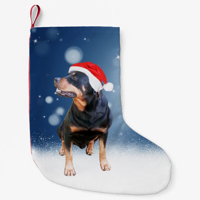 Petite Chaussette De Noël Jote Rottweiler Chien Noël Santa Hat Étoiles de ne (Devant)