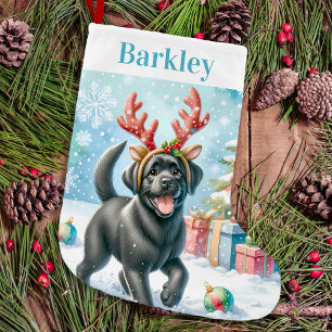 Petite Chaussette De Noël Jouer Labrador Retriever Cute Happy Chien Chiot