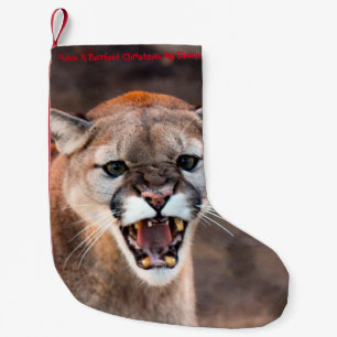 Petite Chaussette De Noël Joyeux Noël parfait