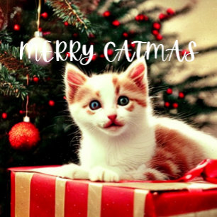 Petite Chaussette De Noël Joyeux Noël Purrfect Noël Stocker