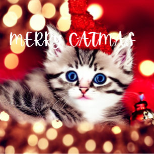 Petite Chaussette De Noël Joyeux Noël Purrfect Noël Stocker