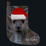 Petite Chaussette De Noël Kangaroo Australie Animal Red Santa Hat<br><div class="desc">Qui n'aime pas cet animal australien emblématique ? Faites de Noël de votre famille et de vos amis beaucoup plus heureux avec cette carte de voeux unique avec une photo de fond d'écran d'un Western Grey Kangaroo Joey. Pour l'occasion, il est habillé d'un chapeau de Père Noël rouge ! Personnalisez-le...</div>