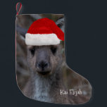 Petite Chaussette De Noël Kangaroo Australie Animal Red Santa Hat<br><div class="desc">Qui n'aime pas cet animal australien emblématique ? Faites de Noël de votre famille et de vos amis beaucoup plus heureux avec cette carte de voeux unique avec une photo de fond d'écran d'un Western Grey Kangaroo Joey. Pour l'occasion, il est habillé d'un chapeau de Père Noël rouge ! Personnalisez-le...</div>