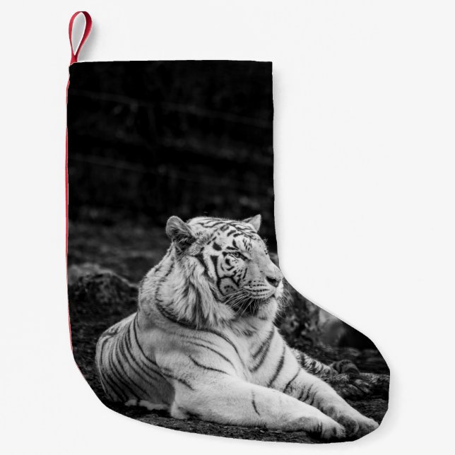 PETITE CHAUSSETTE DE NOËL LA PENSÉE DU TIGRE (Devant)