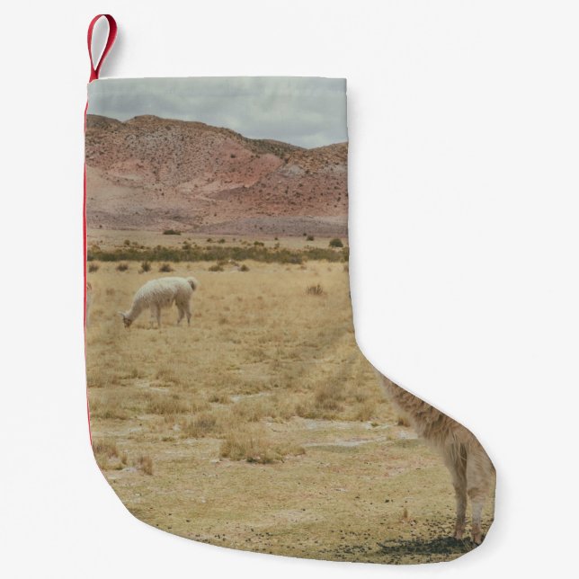 PETITE CHAUSSETTE DE NOËL LAMA BLANC EN GRASS BROWN (Devant)