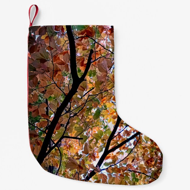 Petite Chaussette De Noël Le changement feuille (Devant)