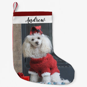 Petite Chaussette De Noël Le chien de caniche Noël Réservation