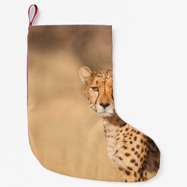 PETITE CHAUSSETTE DE NOËL LEOPARD PORTRAIT (Devant)