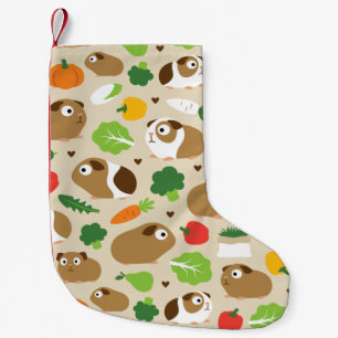 Petite Chaussette De Noël Les Cochons De Guinée Et Leurs Traitements Motifs