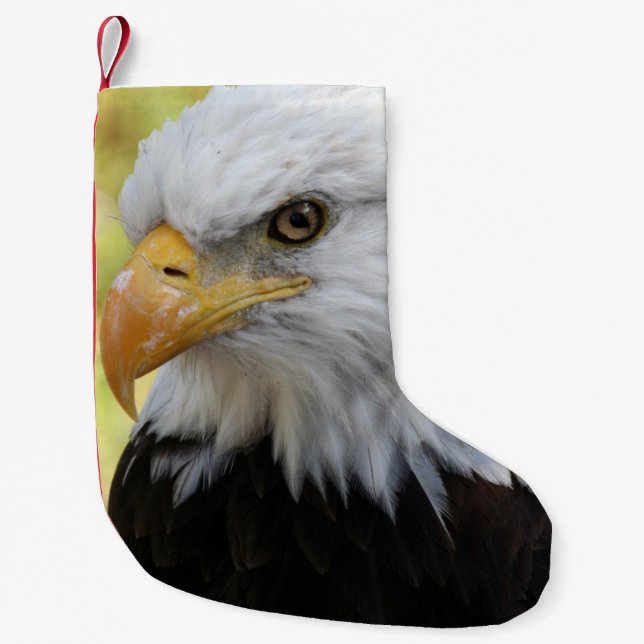 Petite Chaussette De Noël Liberté de Falln Eagle chauve (Devant)