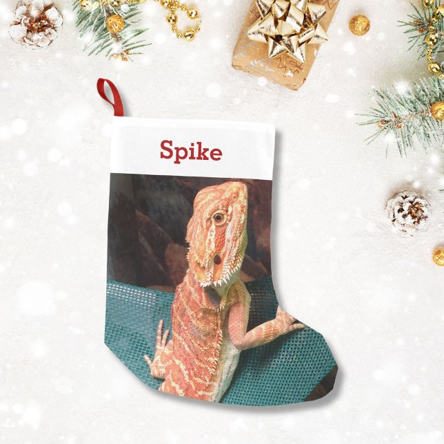 Petite Chaussette De Noël Lizard Lover Pet Photo et nom Personnalisé (Créateur téléchargé)