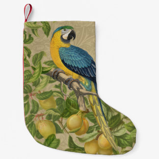 Petite Chaussette De Noël Macaw Blue Jaune Tropical Jungle Antique