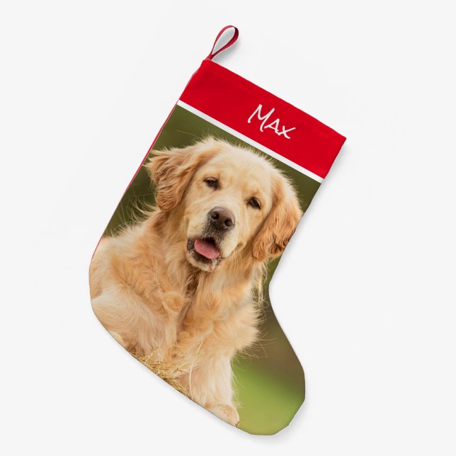 Petite Chaussette De Noël Magnifique Golden Retriever Stocking (Devant (Accrochage))