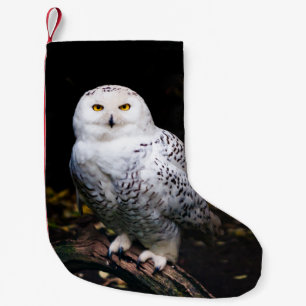 Petite Chaussette De Noël Magnifique harfang des neiges d'hiver
