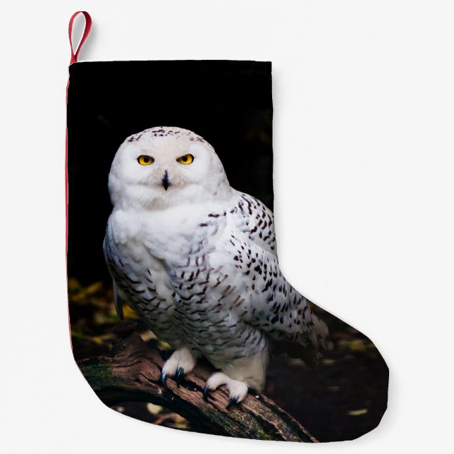Petite Chaussette De Noël Magnifique harfang des neiges d'hiver (Devant)