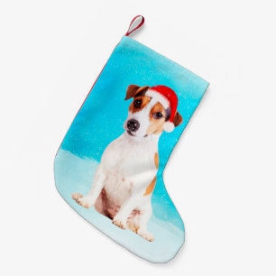 Petite Chaussette De Noël mettez sur cric le chien de Russell se reposant