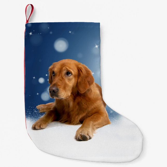 Petite Chaussette De Noël Mignonne Golden Retriever Chien assis dans les éto (Devant)