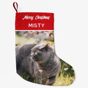 Petite Chaussette De Noël Monogramme photo pour animal de compagnie personna