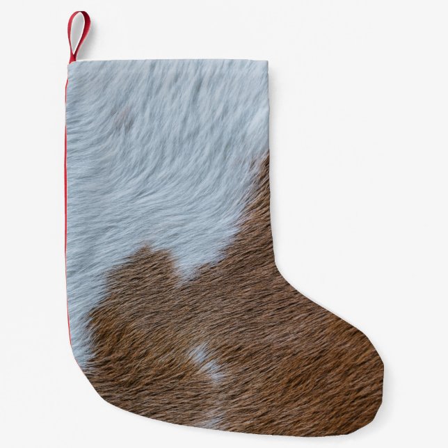 Petite Chaussette De Noël Moyen-siècle (Devant)