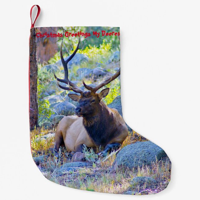 Petite Chaussette De Noël Noël Attrape Mon Vieux Désert (Devant)