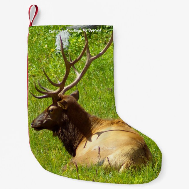 Petite Chaussette De Noël Noël Attrape Mon Vieux Désert (Devant)