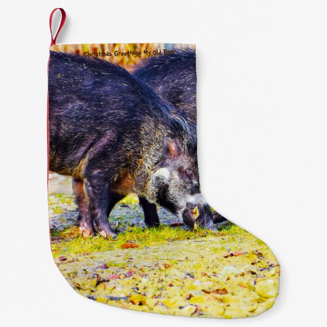 Petite Chaussette De Noël Noël Attrayant Mon Vieux Parleur (Devant)
