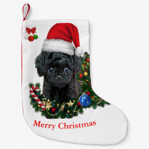 Petite Chaussette De Noël Noël aux canicules