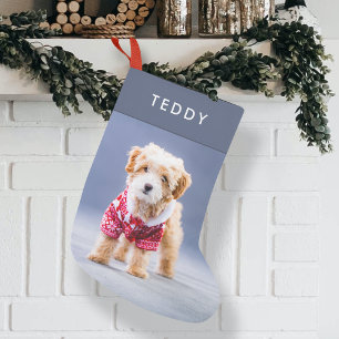 Petite Chaussette De Noël Noël de chien Moderne Cute Blue Pet Photo Petit