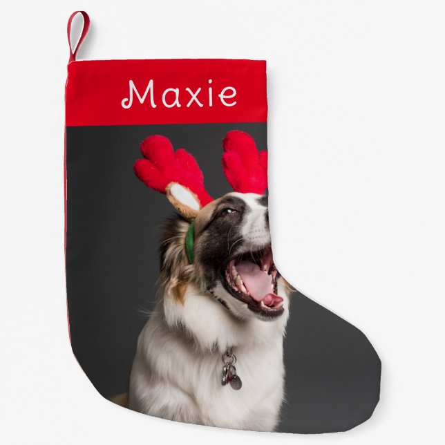 Petite Chaussette De Noël Noël de chien | Photo moderne de animal rouge mou (Devant)