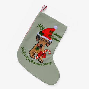 Petite Chaussette De Noël Noël de Rhodesian Ridgeback
