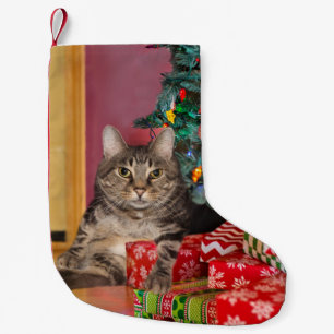 Petite Chaussette De Noël Noël de Tabby Kitty