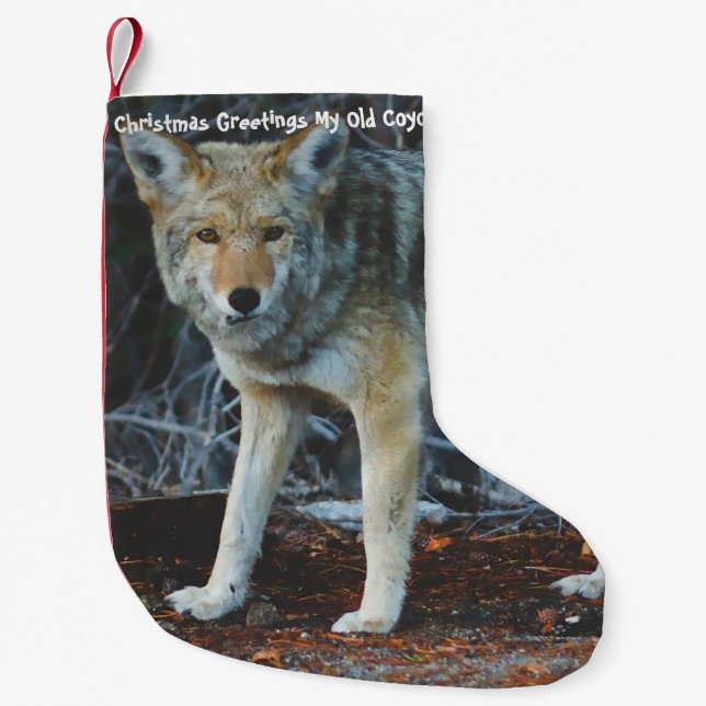 Petite Chaussette De Noël Noël Stocker Mon vieux Coyote (Devant)