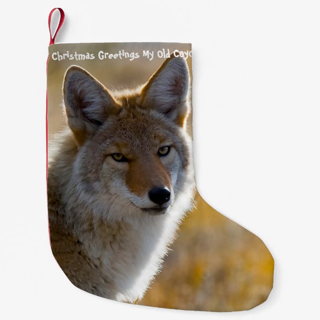 Petite Chaussette De Noël Noël Stocker Mon vieux Coyote (Devant)