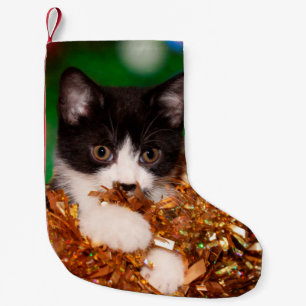Petite Chaussette De Noël Noël vilain de minou de smoking