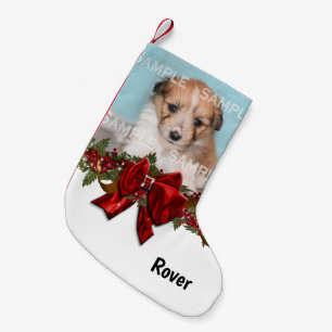 Petite Chaussette De Noël Nom de la photo de l'animal de compagnie Fête No