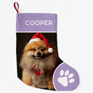 Petite Chaussette De Noël Nom de l'animal de compagnie personnalisé et Lavan
