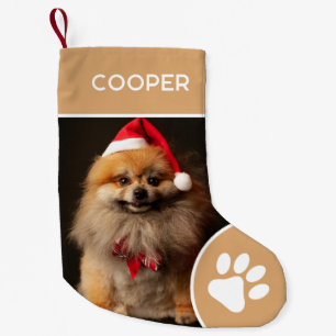 Petite Chaussette De Noël Nom de l'animal de compagnie personnalisé et photo