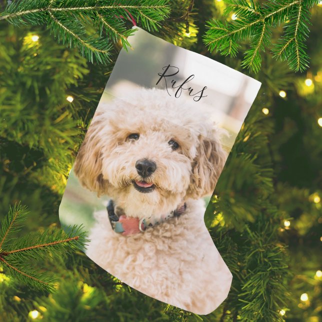 Petite Chaussette De Noël Nom de l'animal personnalisé et photo (Personalized Pet Name and Photo Small Christmas Stocking)