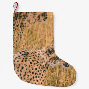 PETITE CHAUSSETTE DE NOËL OEIL SUR LA CIBLE - PHOTO D'ANIMAUX DE LEOPARD