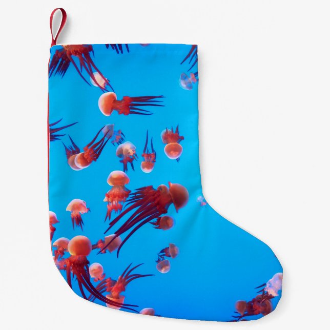 PETITE CHAUSSETTE DE NOËL ORANGE JELLY FISH (Devant)