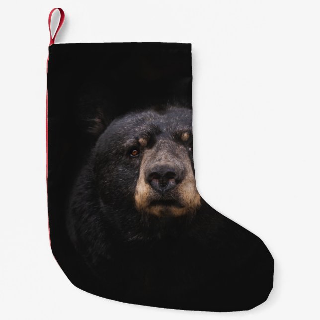 PETITE CHAUSSETTE DE NOËL OURS NOIR SUR BRANCHE BROWN EN BOIS ARBRE (Devant)