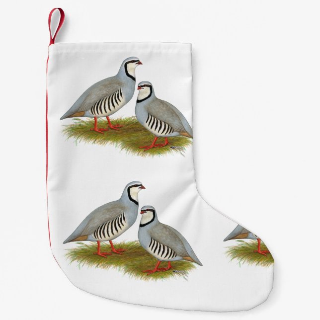 Petite Chaussette De Noël Paire de perdrix de Chukar (Devant)