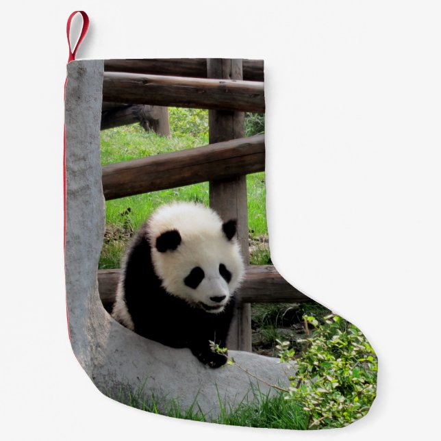 Petite Chaussette De Noël Panda bébé (Devant)