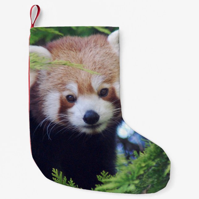Petite Chaussette De Noël Panda rouge (Devant)